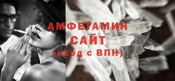 твердый Вяземский