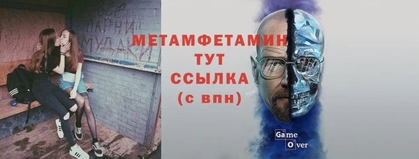 твердый Вяземский