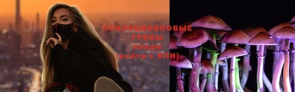 твердый Вяземский