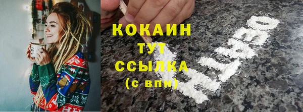 спайс Горняк