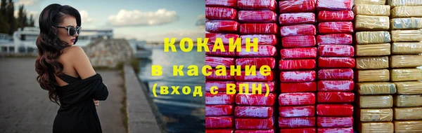 твердый Вяземский