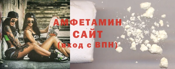твердый Вяземский