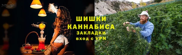 твердый Вяземский