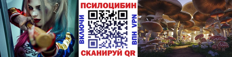 Галлюциногенные грибы Cubensis  hydra ТОР  Демидов 